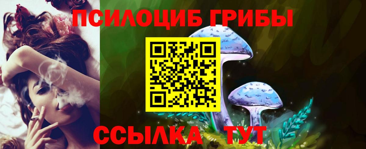 Псилоцибиновые грибы мицелий Иваново